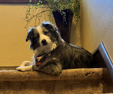 Kelli Wiesener Manning