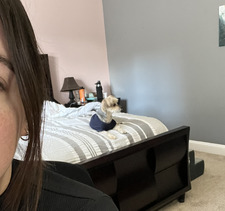 Lexi