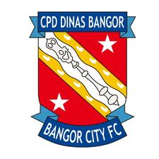 Trang cá cược bóng đá 245