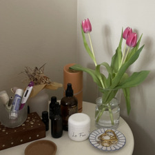 isabella shingledecker