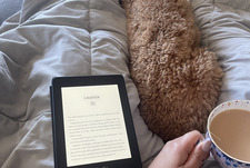 Roschelle 📓✧˖°.