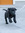 Lallo