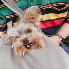 Paulien Vanhaverbeke