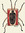 M | 2 comments
