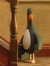 Benjamin