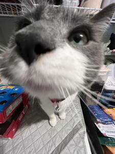 Aubrie (taylors version)