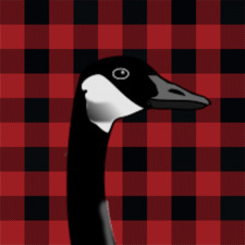 RedPlaidGoose