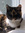 Brigid Auclair | 13 comments