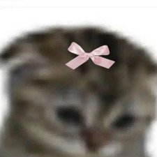 abbi