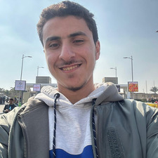 عبد الرحمن  المصري