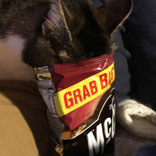 Aoife O'Connor-Massingham