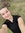 Emily T...