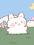 nsbh_rzwn