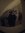 Nele