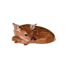 marina ˖ ࣪⊹౨ৎ⋆