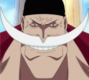 Whitebeard