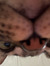 Zee