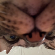 Zee