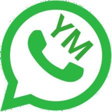 YM WhatsApp