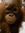 member photo member photo