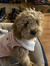 Avery S...