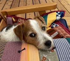 Jocelyn Thrasher-Haug