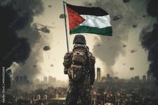 Fady Mohamed