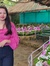 Nabanita