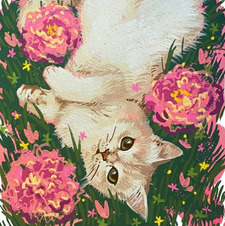 summer &#x1fab7;&#x1f3a7;