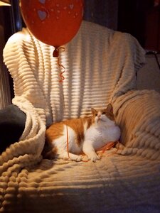 Δημήτρης Κλιάφας