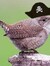 Wren