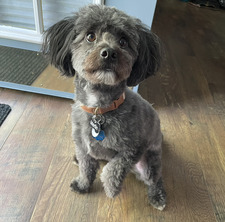 Tobi L