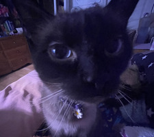 maélie