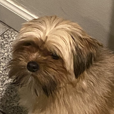 EDawg