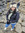 member photo member photo