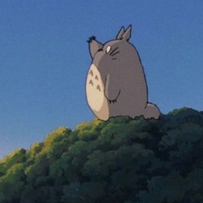 °•Totoro•°☆