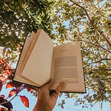 Mllelitterature