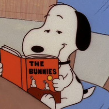 Rhona ‧₊˚❀༉‧₊˚.