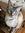Beanjamin Schrum | 2 comments