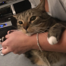 Julia
