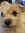 Pep