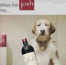 Zsolbor FRk