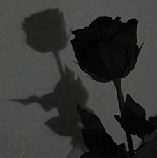 Kya&#x1f48d;❤️&#x1f440;