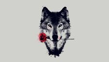Nour