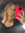 Sydney  Brosseau
