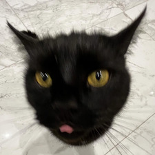 Oliver