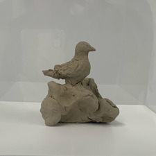 Rigmor Scott-Mønsted