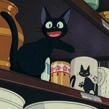 a_kitty_in_the_library