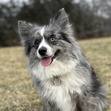 Pamela