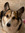 Aeryn